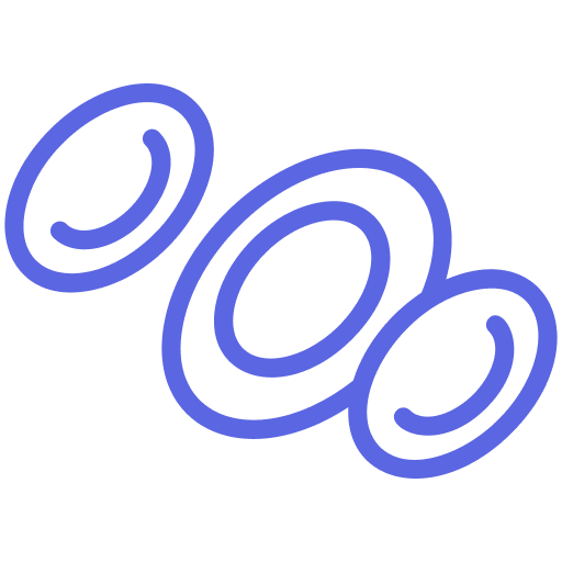 Bilingual Services (English & Spanish)